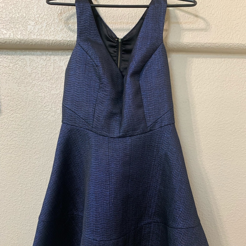 Beautiful shiny Express Dress